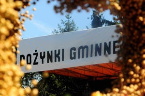 Dozynki