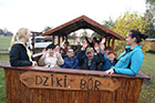 SDS w Dzikim Borze