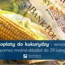 Dopłaty do kukurydzy – wnioski o pomoc do 29 lutego