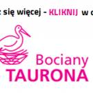 Zimowa opieka nad bocianimi gniazdami