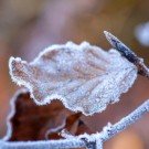 Ostrzeżenie przez niską temperaturą