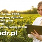Doradcy MODR czekają