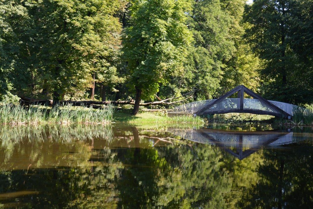 Park miejski