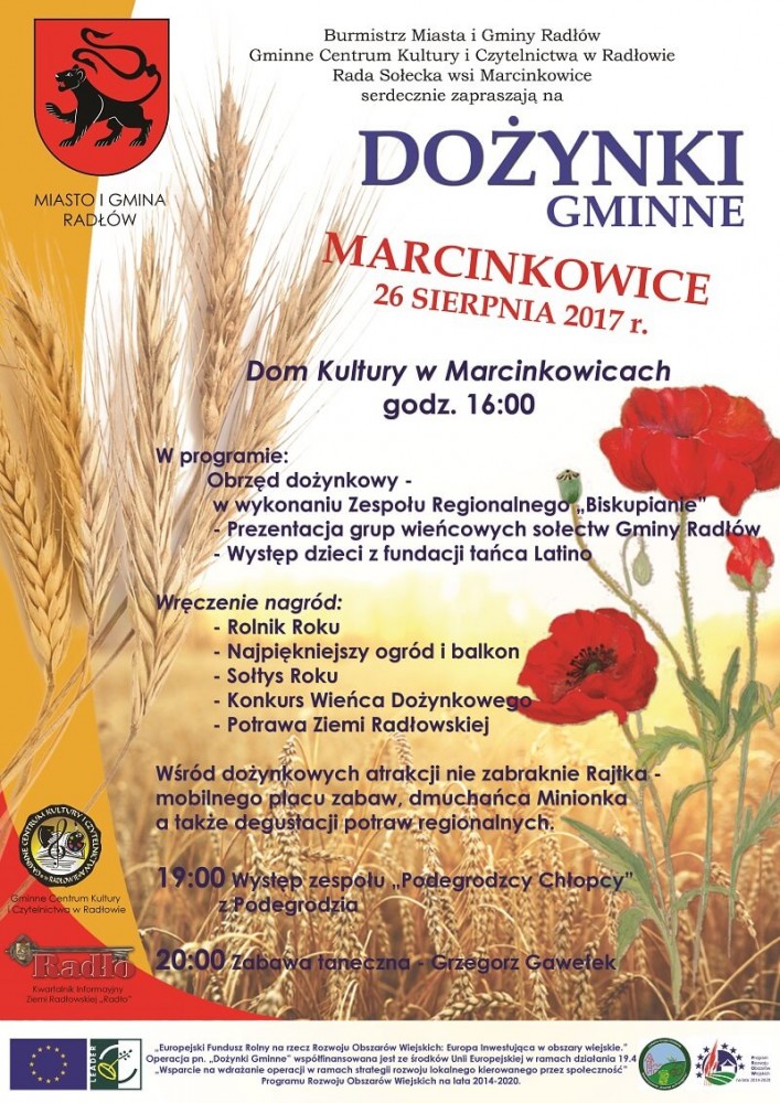 Dożynki Gminne 2017